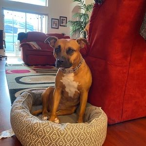 Meet your Posher, Khaled